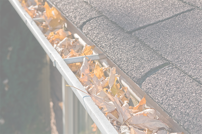 Gutter gutter