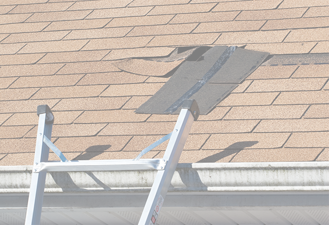 Residential Roofing Contractors Northern Utah Kanga Roof