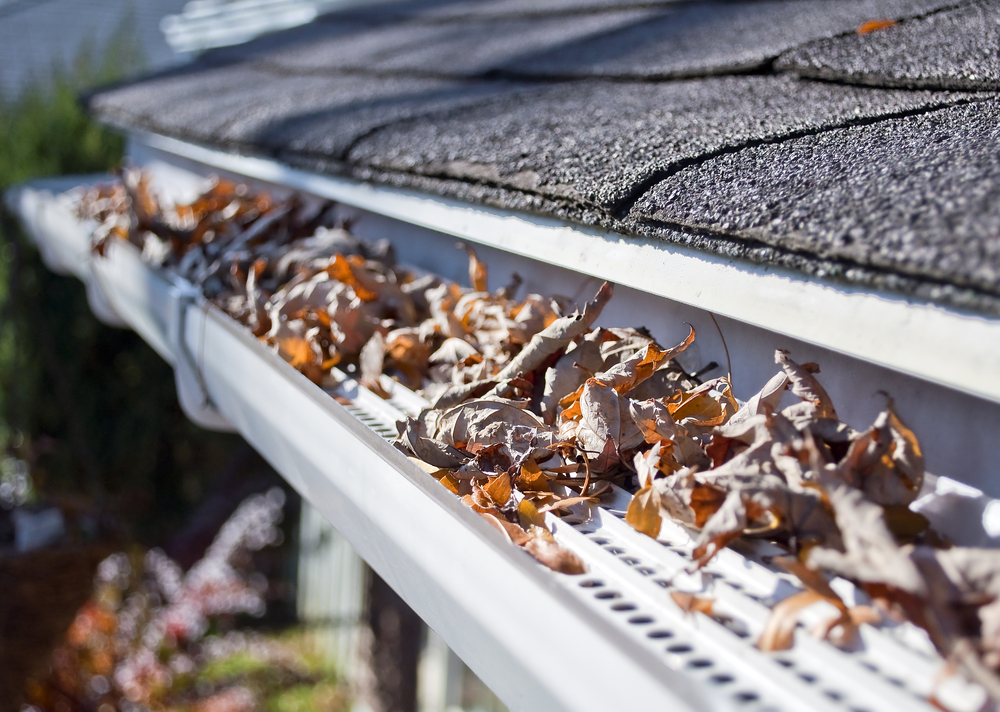 gutter guard north salt lake