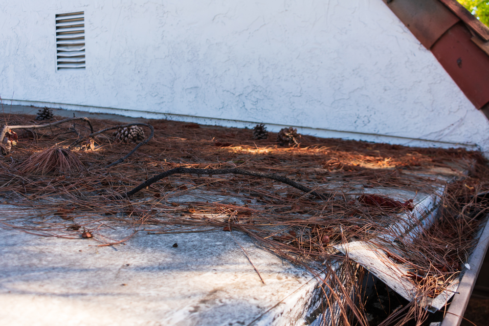 Gutter Guards Installation Gutter Guards Installation