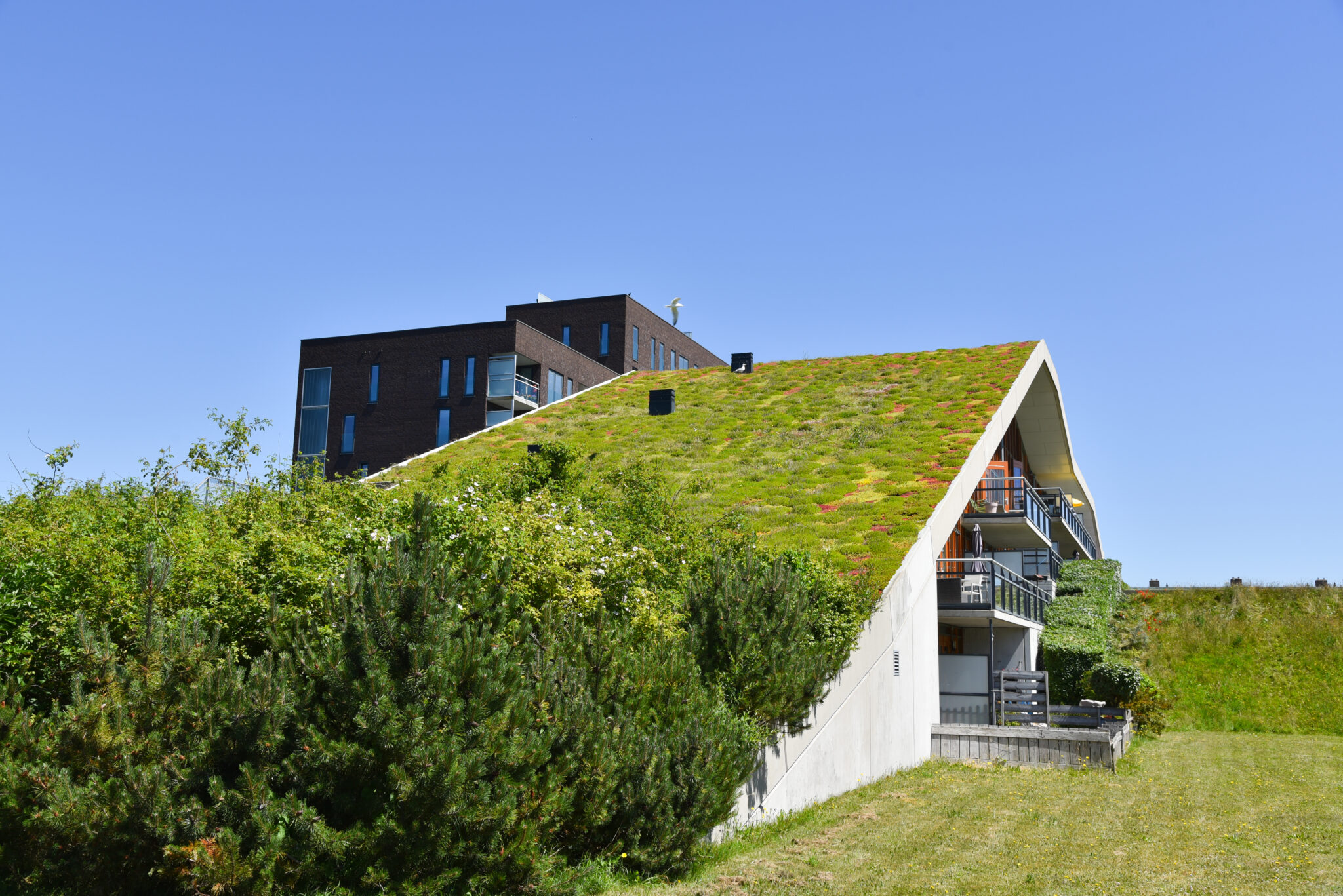 Penthouse Condos With Eco Friendly Roof photo
