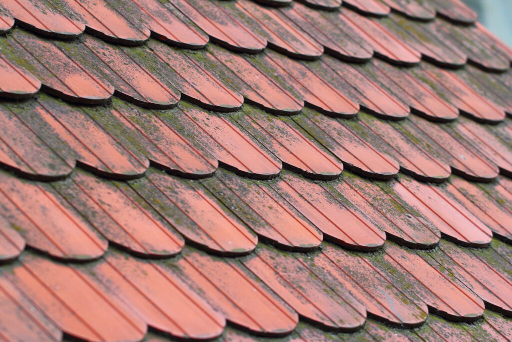 How To Remove Mold From Your Roof How To Remove Mold From Your Roof