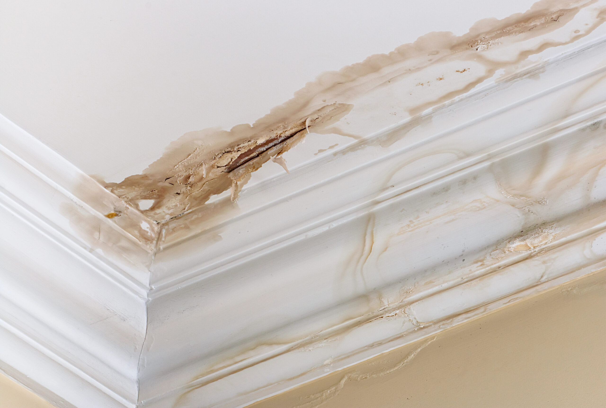 How to spot water damage to your roof