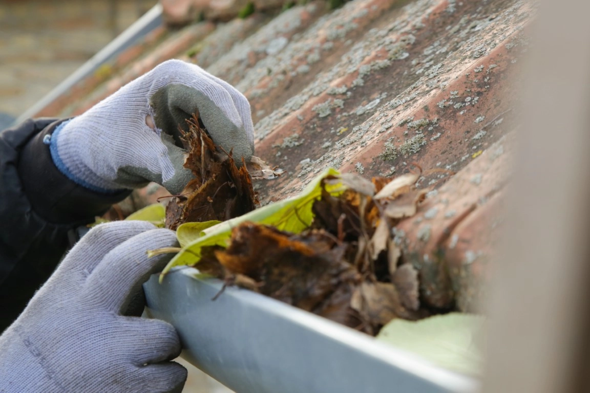 Protect Your Home with Gutter Cleaning and Maintenance