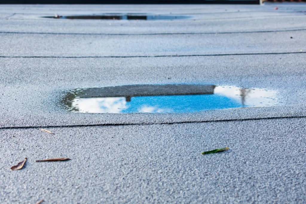 What To Do If Water Is Pooling On Your Roof What to Do if Water is Pooling on Your Roof