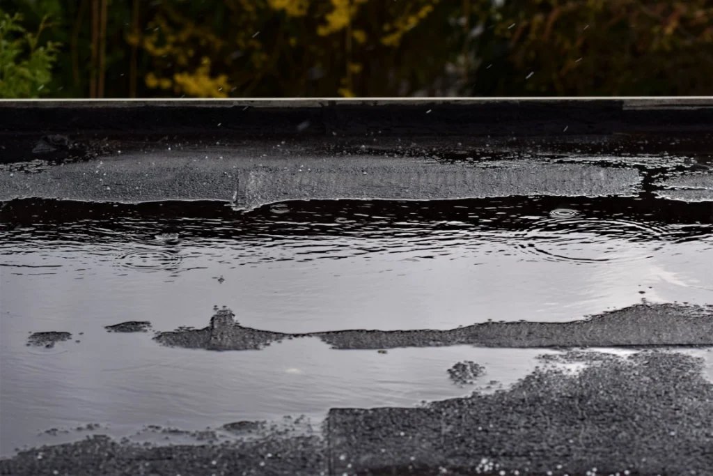 What To Do If Water Is Pooling On Your Roof What to Do if Water is Pooling on Your Roof